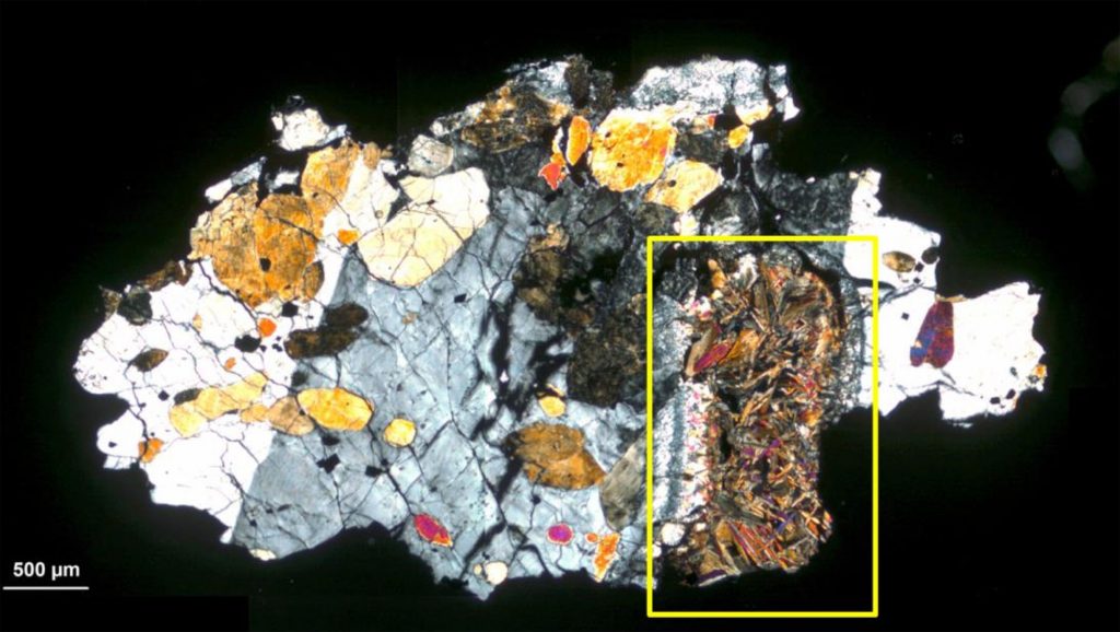 Traces of life in a meteorite from Mars